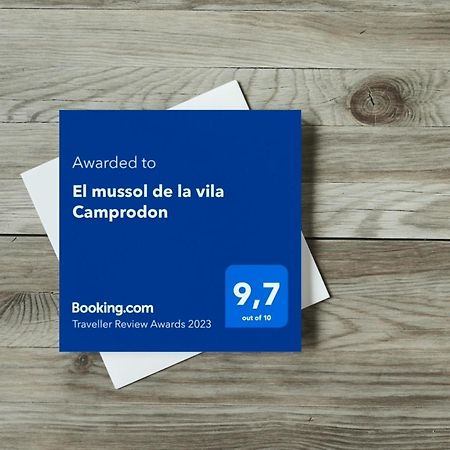 El Mussol De La Vila Camprodon, Balconets Amb Vistes A La Placa Экстерьер фото
