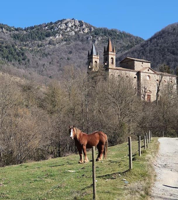 El Mussol De La Vila Camprodon, Balconets Amb Vistes A La Placa Экстерьер фото
